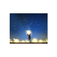 Parla Canvas Yıldızlar Altında Sayılarla Rulo 40x50 cm Renkli Boyama Seti Duvar Sticker