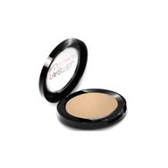 Pastel Profashion Terracotta 53 Pudra