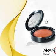 Pastel Profashion Terracotta Blush-On 03 Allık