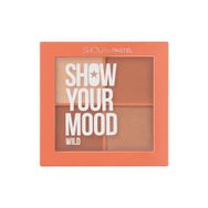 Pastel Show Your Mood Wild No: 441 Allık