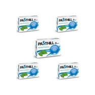 Pasthill Mentol Okaliptus 5x24 Pastil