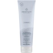 Paul Mitchell Awapuhi Wild Ginger Hydrasoft 250 ml Bakım Kremi