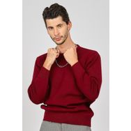 Pave 4538103 Bordo Bisiklet Yaka Yün Erkek Kazak