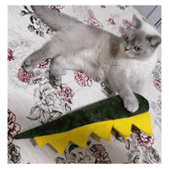 Pawdaz Bol Sesli Bol Kokulu Yeşil Dino Kedi Oyuncağı