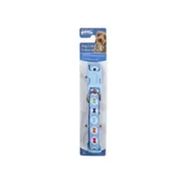 Pawise 15-25 cm/10 mm Mavi Xs Köpek Tasması