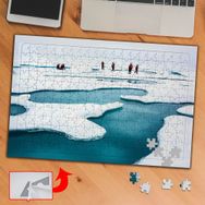 PD36 Kutuplar Buzullar 240 Parça Puzzle Yapboz Tablo
