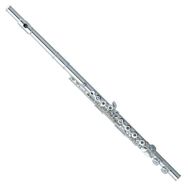 Pearl Flutes F505RE Yan Flüt