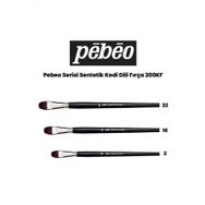 Pebeo 200KF Seri Sentetik Kedi Dili Fırça
