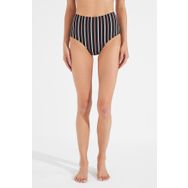 Penti PLT87L1P21IY-MIX Çok Renkli Amber High Fashion Bikini Altı