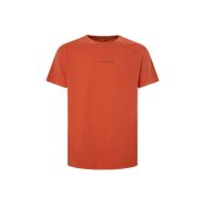 Pepe Jeans Bisiklet Yaka Baskılı Kiremit Erkek T-Shirt PM509231 165 DAVE TEE
