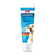 Pet Active 100 ml Vitalidog Paste Yetişkin Köpekler İçin Vitamin Macun