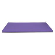 Pet Comfort One Ortopedik Mor M 50X75x4 cm Köpek Yatağı
