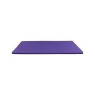 Pet Comfort One Outdoor Mor 75x50x2 cm Medium Ortopedik Kedi ve Köpek Yatağı