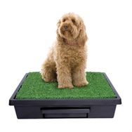 Pet Safe Loo Orta Boy 63x 63 cm Köpek Tuvaleti