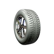 Petlas 185/55 R15 82H Snow Master W651 Kış Lastiği 2022
