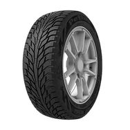 Petlas 255/35 ZR19 Multi Action PT565TL 96Y Reinf Dört Mevsim Lastiği