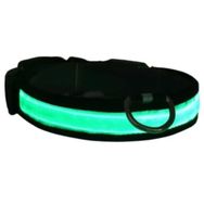 Petzz Işıklı Ayarlanabilir Flaşörlü Yeşil 45-52 cm 2.5 cm Kedi ve Köpek Boyun Tasması