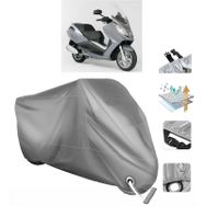 Peugeot Satelis 250 VINLEKS Motor Brandası