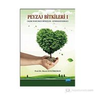 PEYZAJ BITKILERI AÇIK TOHUMLU BITKILER GYMNOSPERMAE - MURAT ZENCIRKIRAN