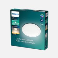 Philips 2700K 20 Watt Plafonyer
