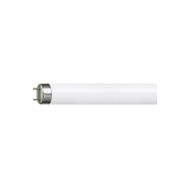 Philips 36W Günışığı Floresan Ampul