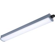 Philips WT066C 40W Led Etanj Armatür