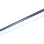 Philips WT066C NW LED45 L1500 PSU TB Led Etanj Armatür