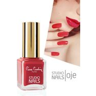 Pierre Cardin 048 Studio Nails Oje