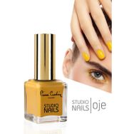 Pierre Cardin 066 Studio Nails Oje