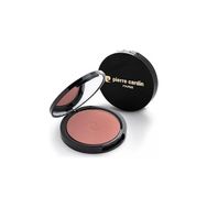 Pierre Cardin Modern Ballet Porcelain Edition Blush On Allık