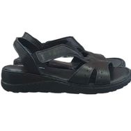 Pierre Cardin PC46135DKSA Siyah Kadın Sandalet