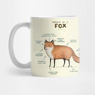Pixxa Anatomy Of A Fox Kupa Bardak