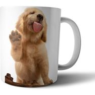 Pixxa Model 1 Golden Retriever Köpek Kupa Bardak