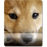 Pixxa Model - 2 Shiba Inu - Köpek Bilek Destekli Mouse Pad