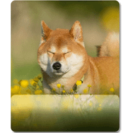 Pixxa Model - 3 Shiba Inu - Köpek Bilek Destekli Mouse Pad