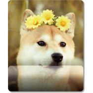 Pixxa Model - 4 Shiba Inu - Köpek Bilek Destekli Mouse Pad