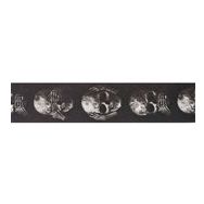 PlanetWaves 50AL01 50 mm Alchemy Str Muted Skull Gitar Askısı