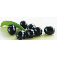 Plantistanbul Tüplü Gemlik Trilye Zeytin Fidanı