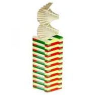 Play Wood ONY358 100 Parça Sihirli Bloklar