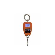 Plt Power 8088 200 kg Vinç Kantar