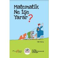 Plüton Yayınları Matematik Ne İşe Yarar?