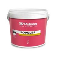 Polisan 3 kg Beyaz Rapid Boya
