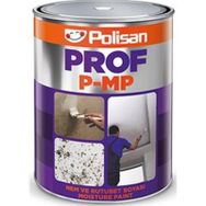 Polisan Prof P mp Nem Ve Rutubet 1 kg Boya