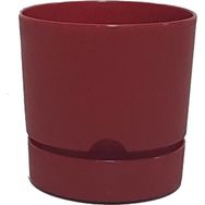 Poliwork Begonya 12 cm Bordo Saksı