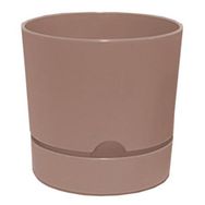Poliwork Begonya 15 cm Krem Saksı