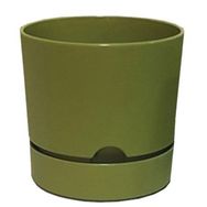 Poliwork Begonya 9 cm Yosun Yeşili Saksı