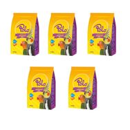 Polo 5x400 gr Paraket Kuş Yemi
