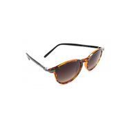 Polo Exchange 8100 C34 50 Polarize Güneş Gözlüğü