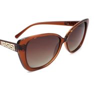Polo Exchange C144 Polarize Güneş Gözlüğü