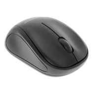 Polosmart PSWM03 Siyah Kablosuz Mouse
